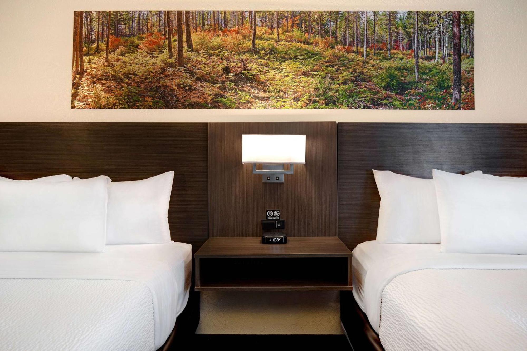 Days Inn & Conference Centre By Wyndham Prince Albert Esterno foto